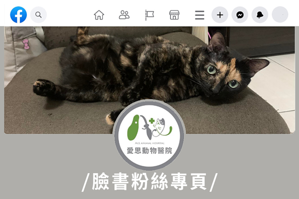 高雄左營愛思動物醫院FB臉書粉絲專頁